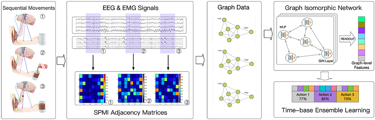 Frontiers | A sequential learning model with GNN for EEG-EMG
