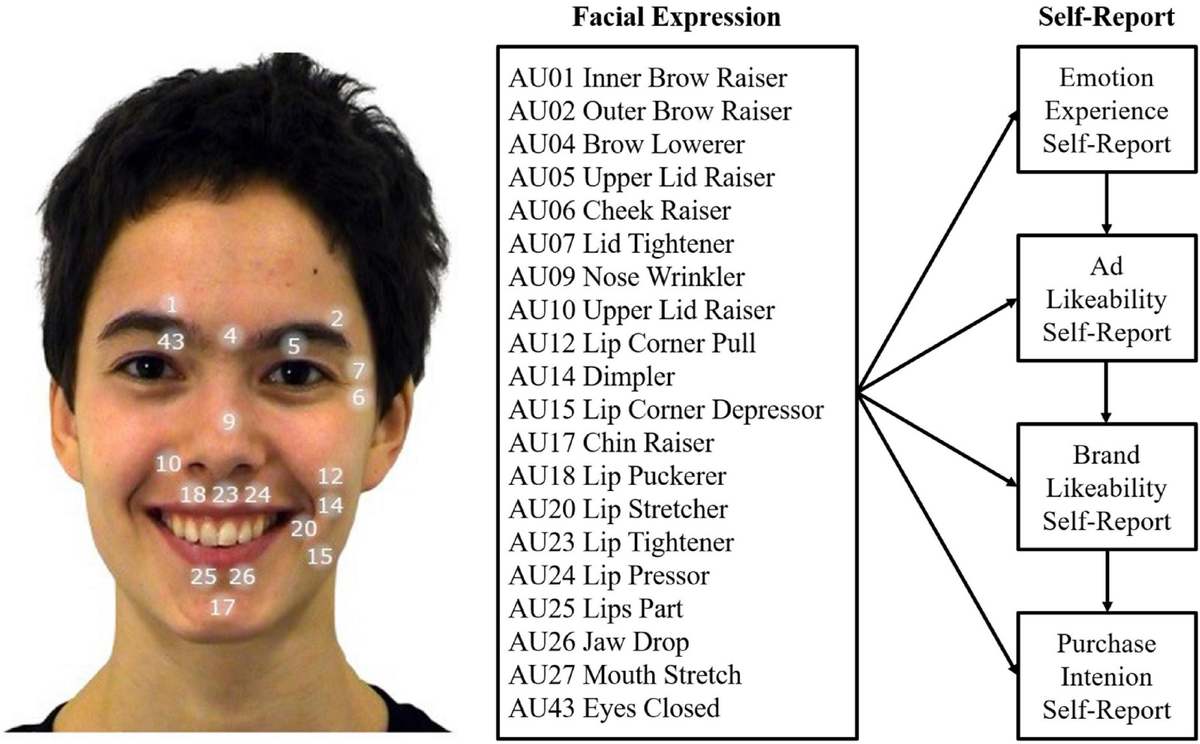 本店は Frontiers | Automatic facial coding predicts self-report of その他