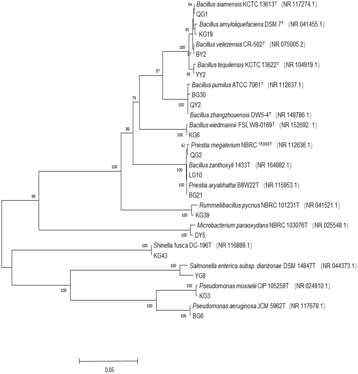 fmicb-14-1128727-g001.jpg