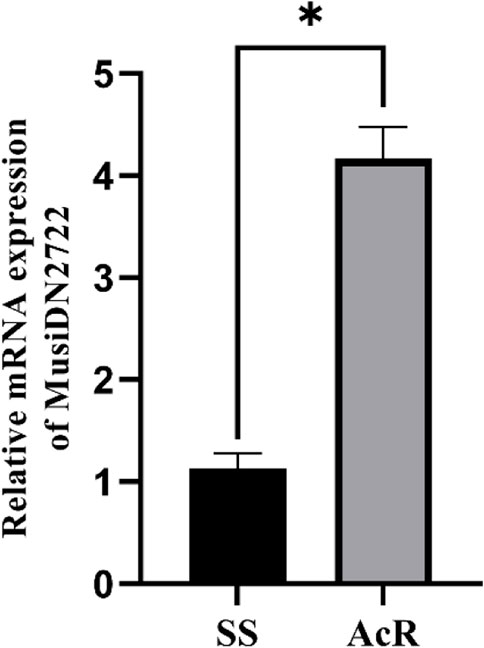 Frontiers | RNA interference in cytochrome P450 Frontiers | RNA interference in cytochrome P450