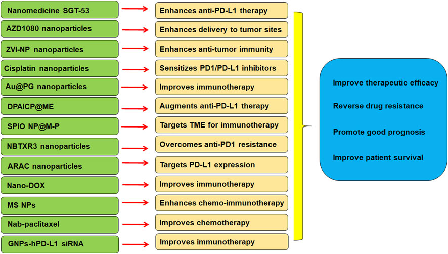 The Complexities of Interspecies Somatic Cell Nuclear