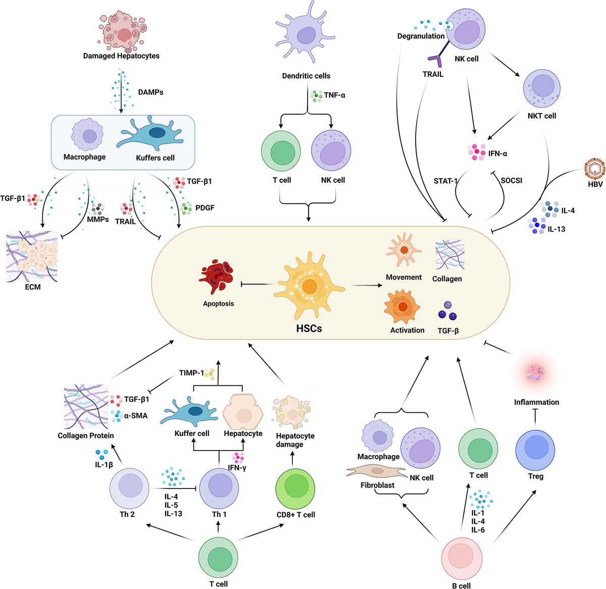 Frontiers | Ongoing involvers and promising therapeutic
