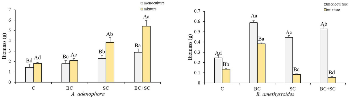 Frontiers | Effects of Septoglomus constrictum and Bacillus