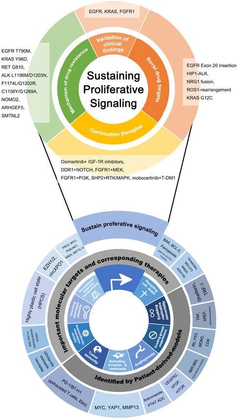 Frontiers | Footprints: Stamping hallmarks of lung cancer