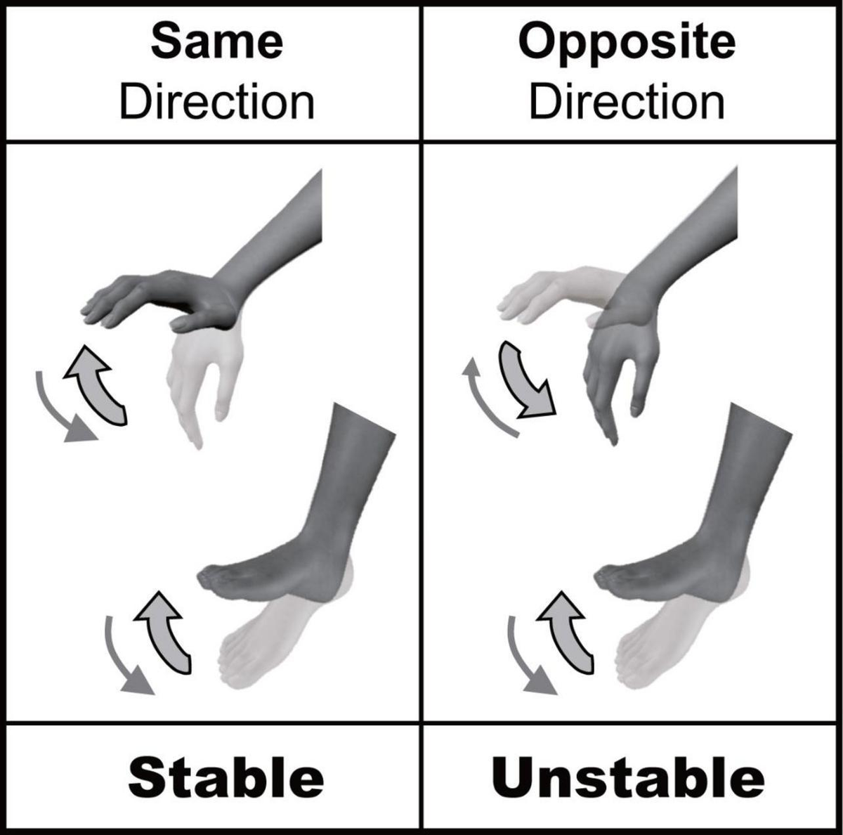 Frontiers | Constraints on hand-foot coordination associated
