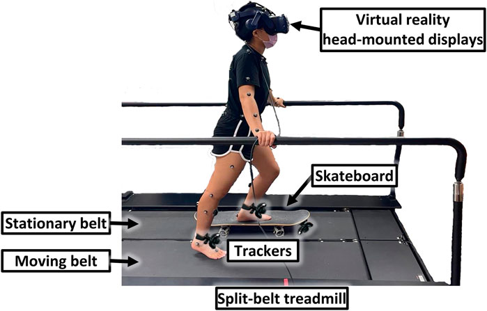 Frontiers | A novel balance training approach: Biomechanical