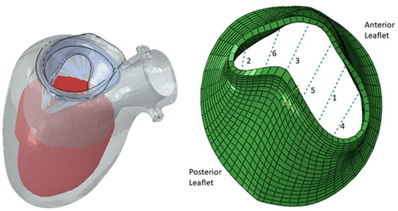 fcvm-10-1140379-g001.jpg