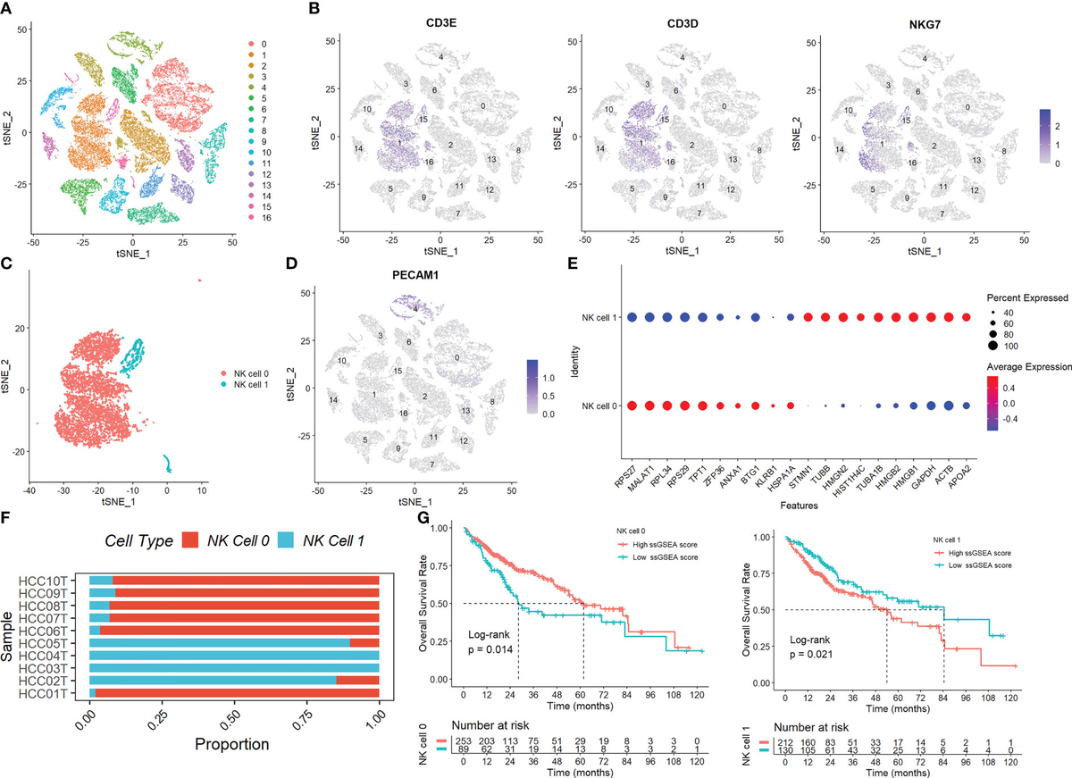 Frontiers | Combined analysis of bulk and single-cell RNA