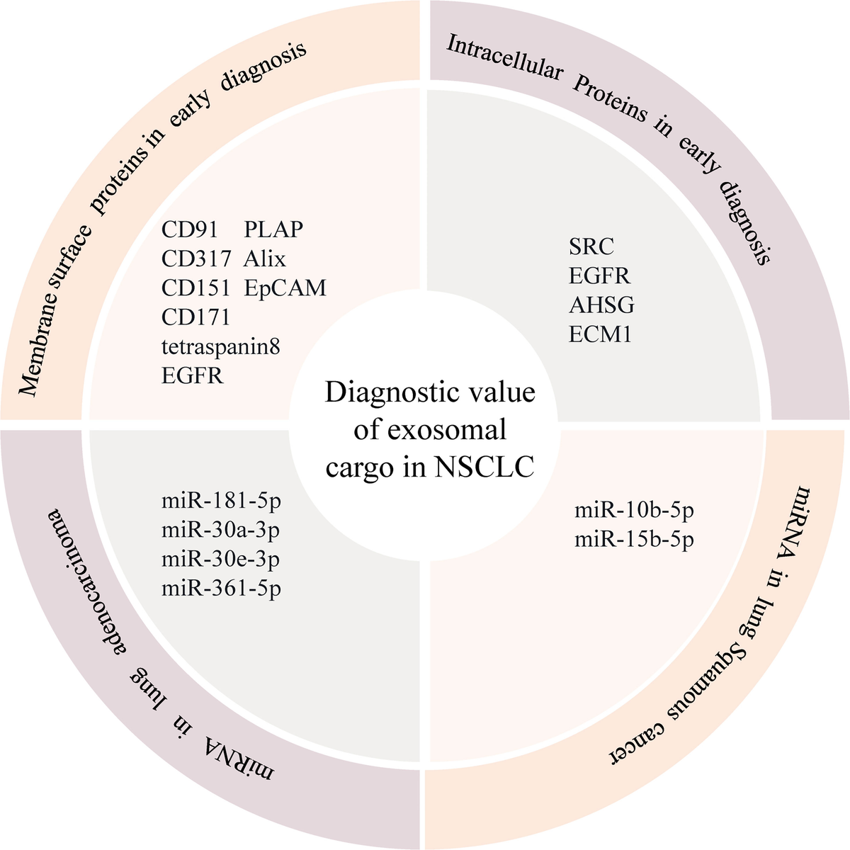 Frontiers | Role of exosomes in non-small cell lung cancer