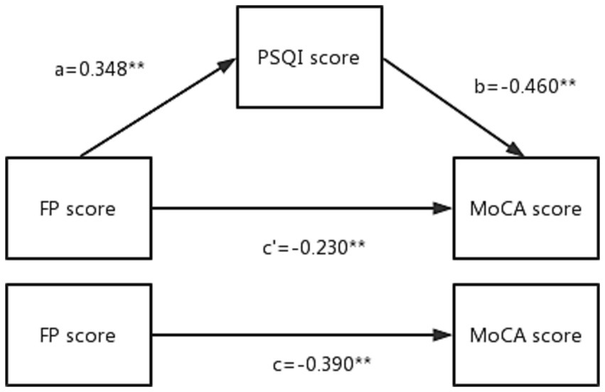 fpubh-11-1143033-g001.jpg