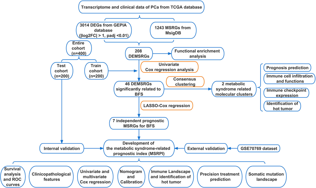 Frontiers | Metabolic syndrome-related prognostic index