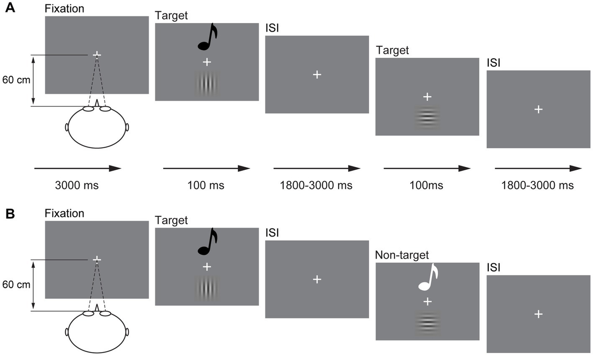 Frontiers | Aging effect of cross-modal interactions during Frontiers | Aging effect of cross-modal interactions during