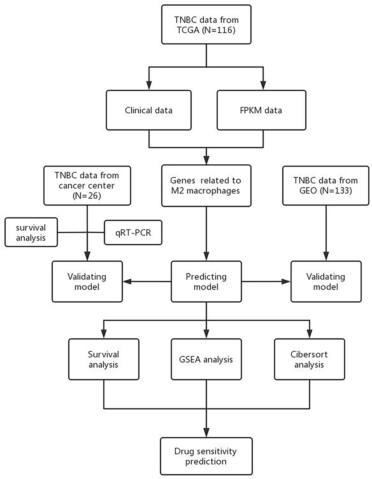 Frontiers | Model for predicting immunotherapy based on M2