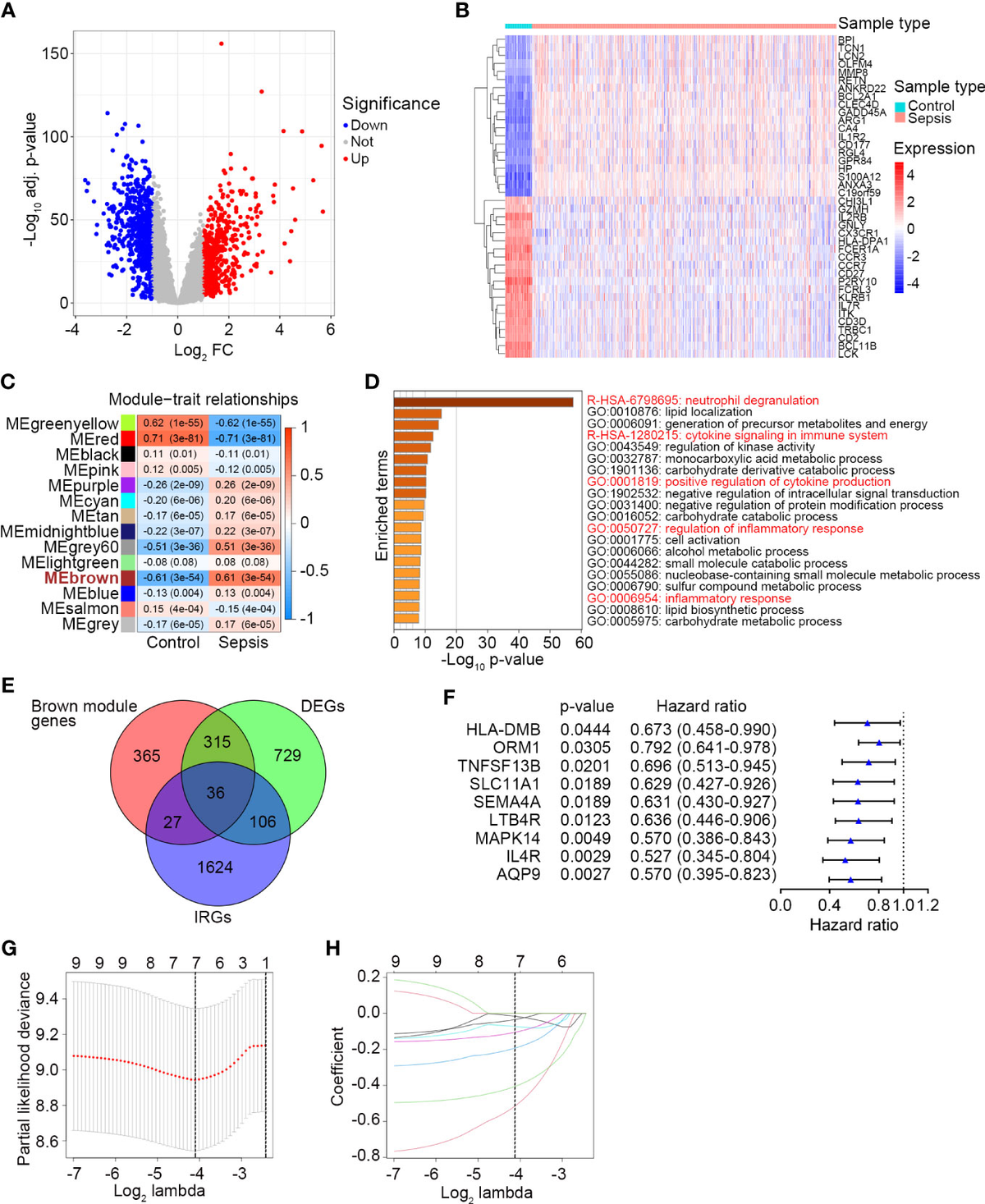 新型Switch×5 NV200 VANETTE VM20 2011 Computer | eBay