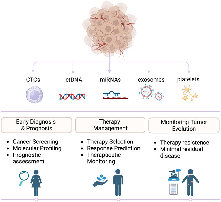 Frontiers | Enhancing clinical potential of liquid biopsy through 