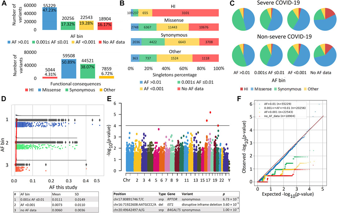 Ochiq anus va mushukning fotosurati