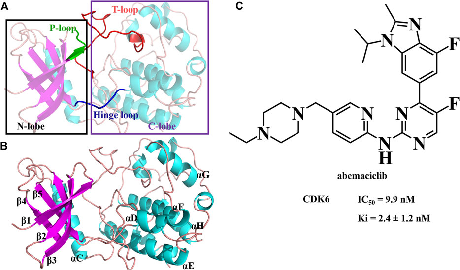 Frontiers | Identification of abemaciclib derivatives