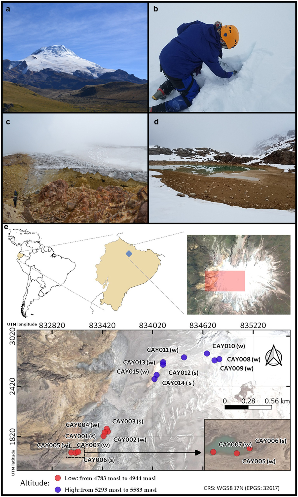 【送料無料】 Frontiers | The microbiome of the ice-capped Cayambe 自転車本体