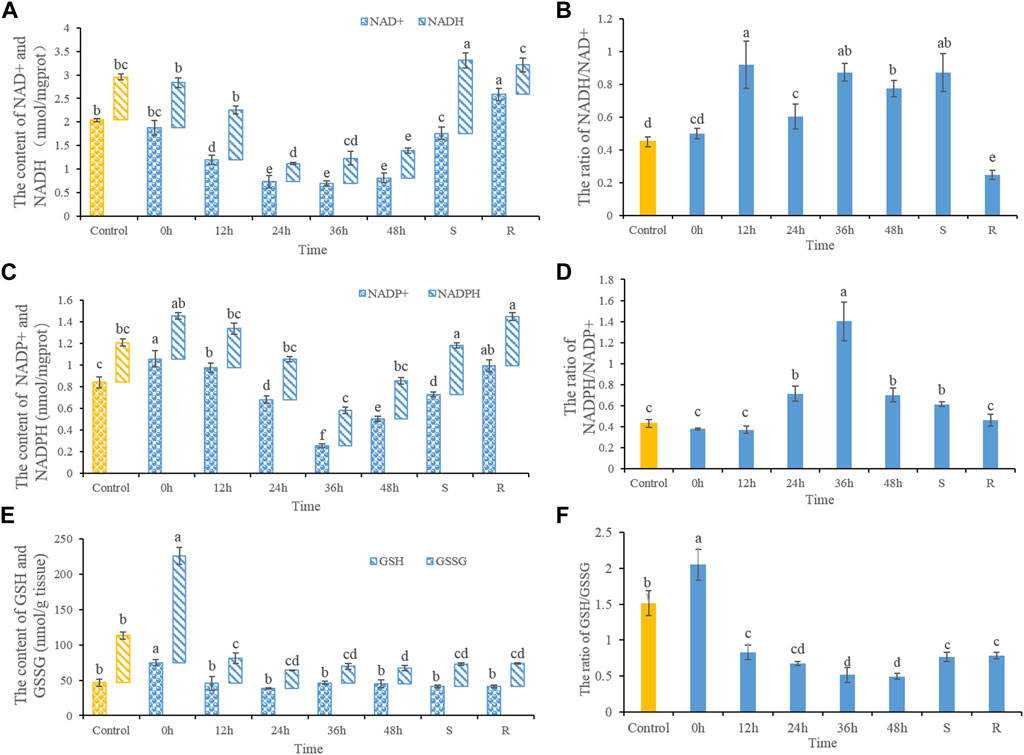 Frontiers | Redox state and metabolic responses to severe