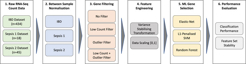 Frontiers | Gene filtering strategies for machine learning guided ...