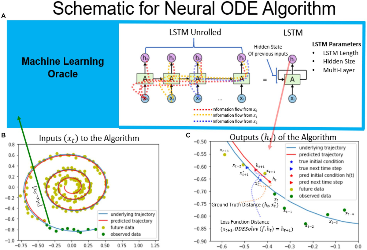 Frontiers | A deep learning approach to estimating initial