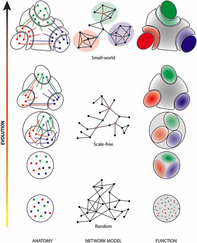 新品登場 Frontiers | Visual cortical areas of the mouse: comparison 車種別パーツ
