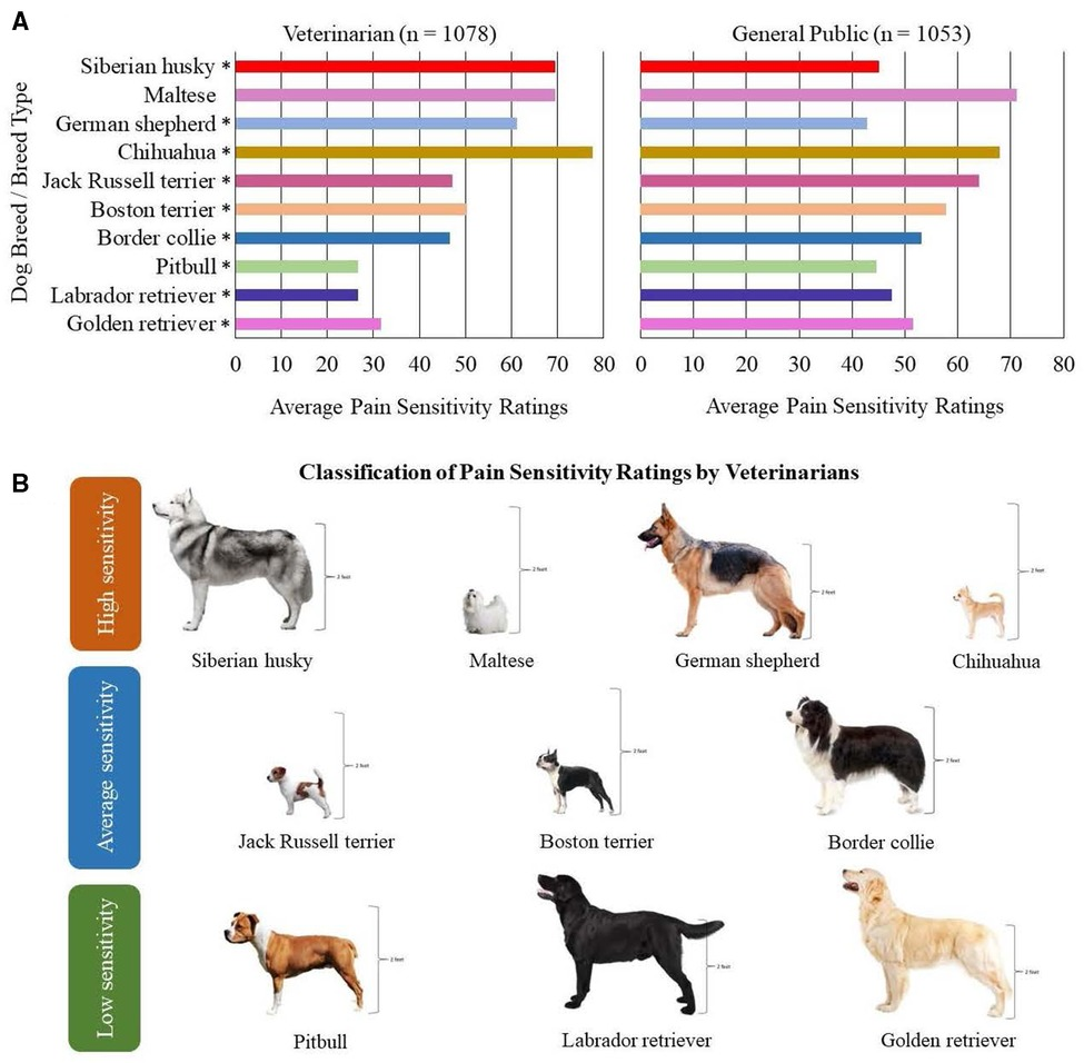 Frontiers | Pain sensitivity differs between dog breeds but not in 