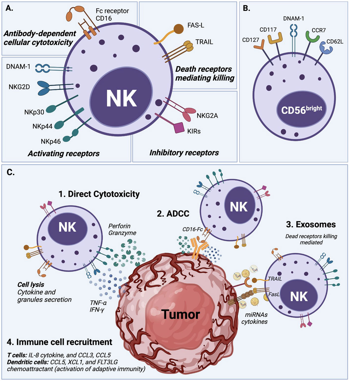 Frontiers | The application of autologous cancer