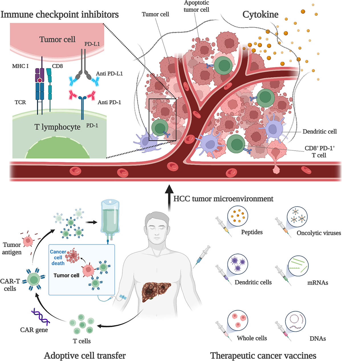 芸能人愛用のルームウェア Frontiers of effect anti-tumor the enhance inhibitors HDAC | アイドル