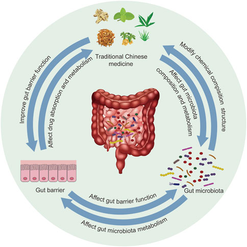 Xususiy oqituvchi porno retro
