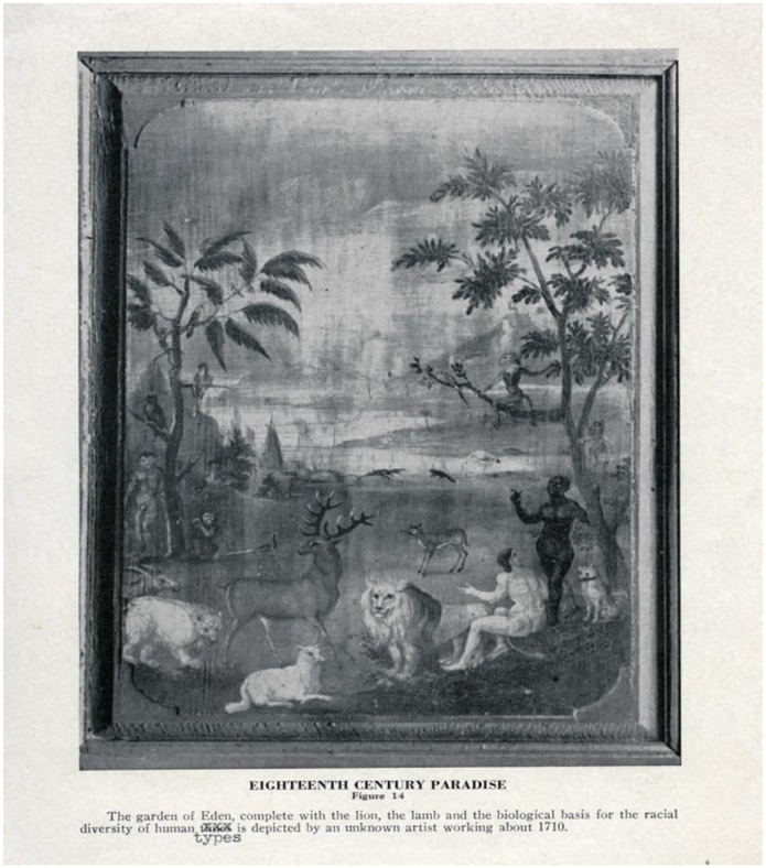 www.frontiersin.org