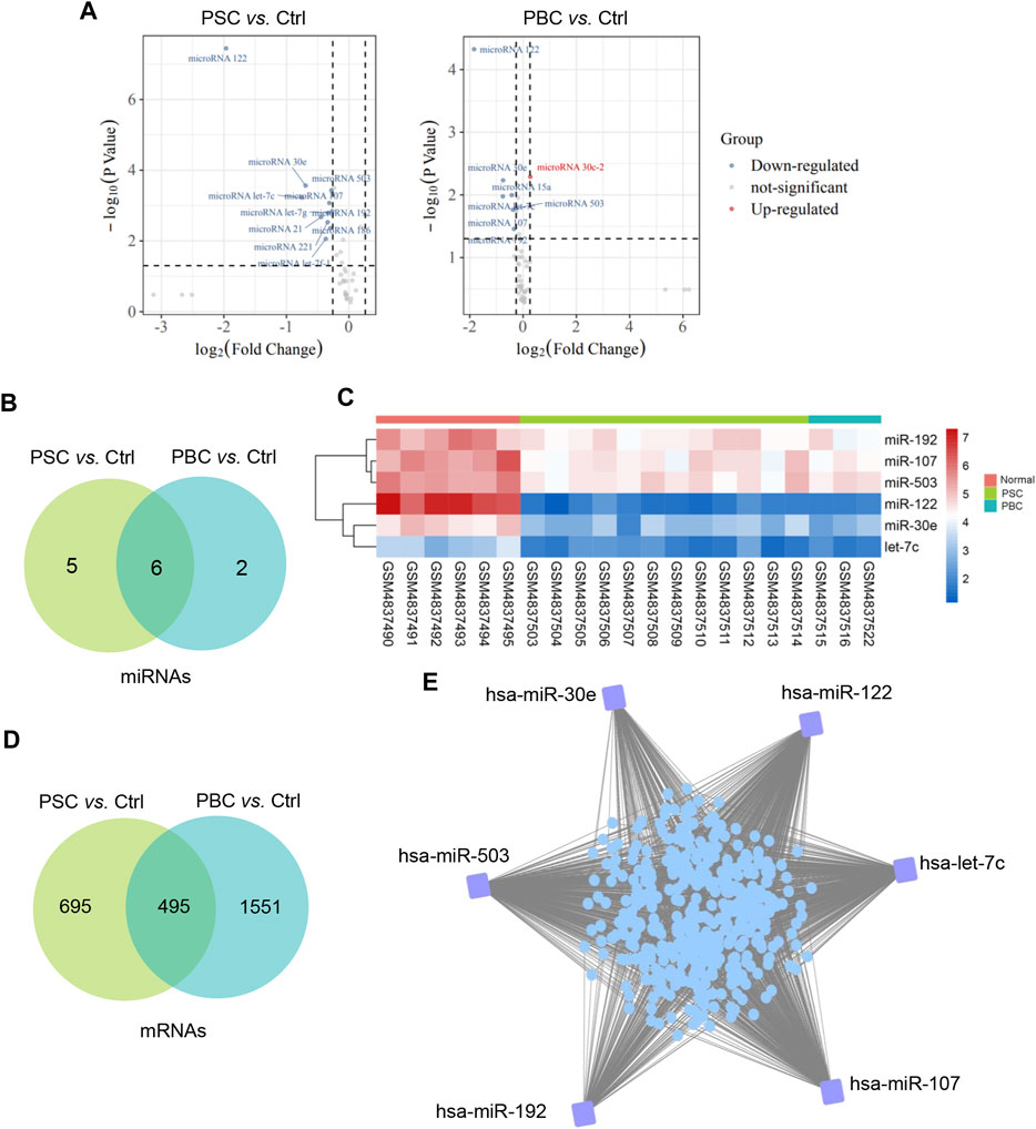 Frontiers | Uncovering key molecules and immune landscape in