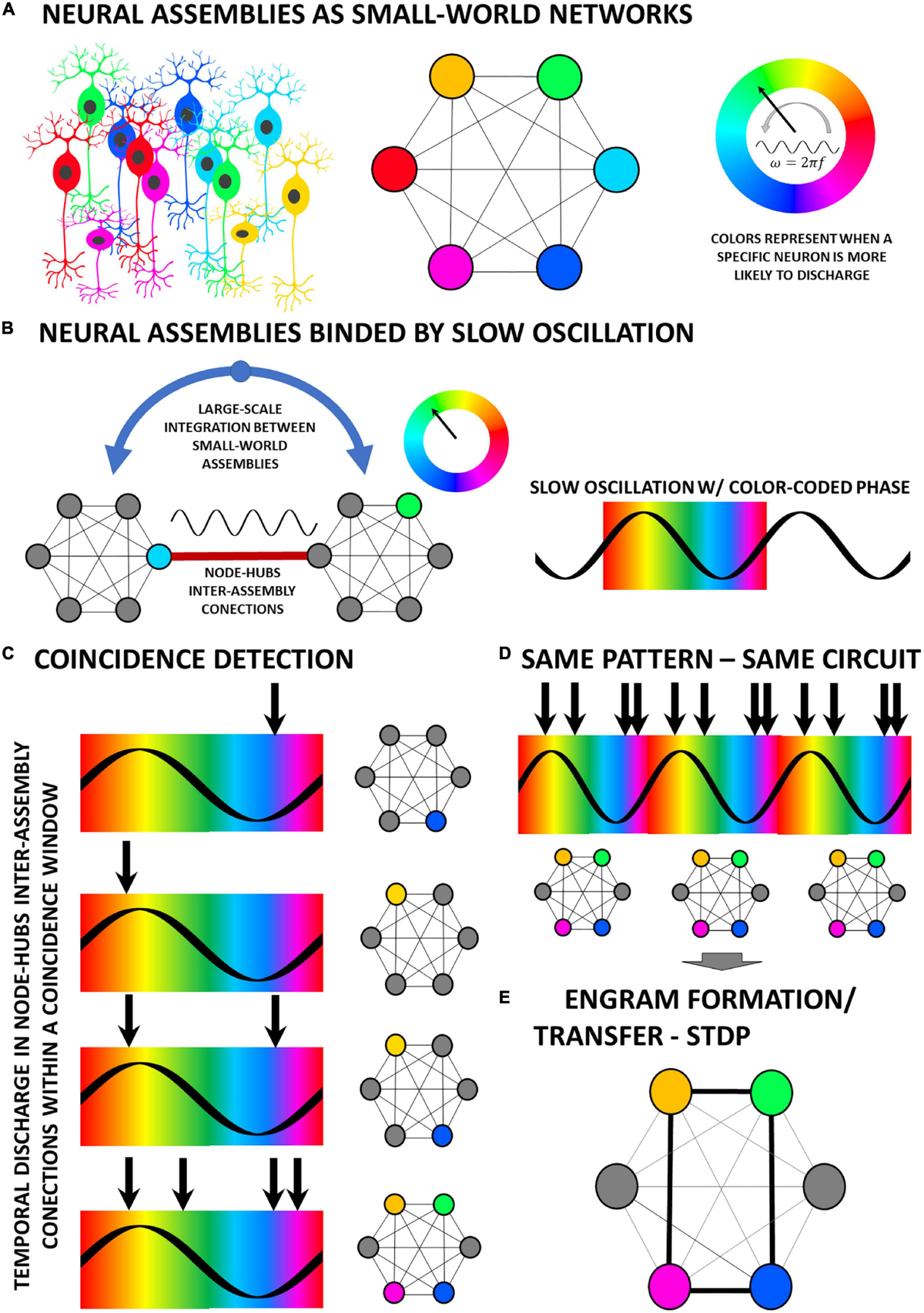 Frontiers | On temporal scale-free non-periodic stimulation and 