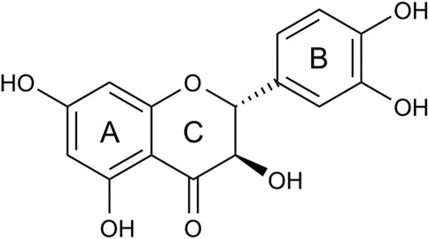 Frontiers | An insight into novel therapeutic potentials of