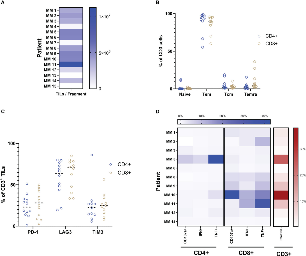 Ex vivo modulation of intact tumor fragments with anti-PD-1 and anti-CTLA-4  influences the expansion and specificity of tumor-infiltrating lymphocytes  - Frontiers, image size:1200x1004