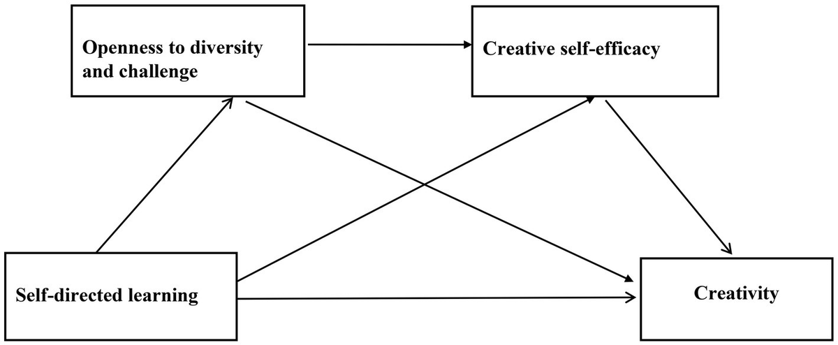Frontiers | Direct and indirect effects of self-directed learning 