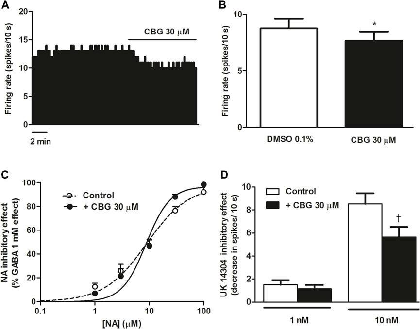 A novel mutation in intron 1 of Wnt1 causes developmental loss of  dopaminergic neurons in midbrain and ASD-like behaviors in rats | Molecular  Psychiatry