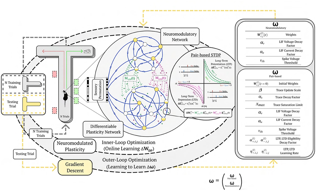 洋書 Neural Networks for Statistical Modeling 洋書 Neural Networks for Statistical Modeling Neural