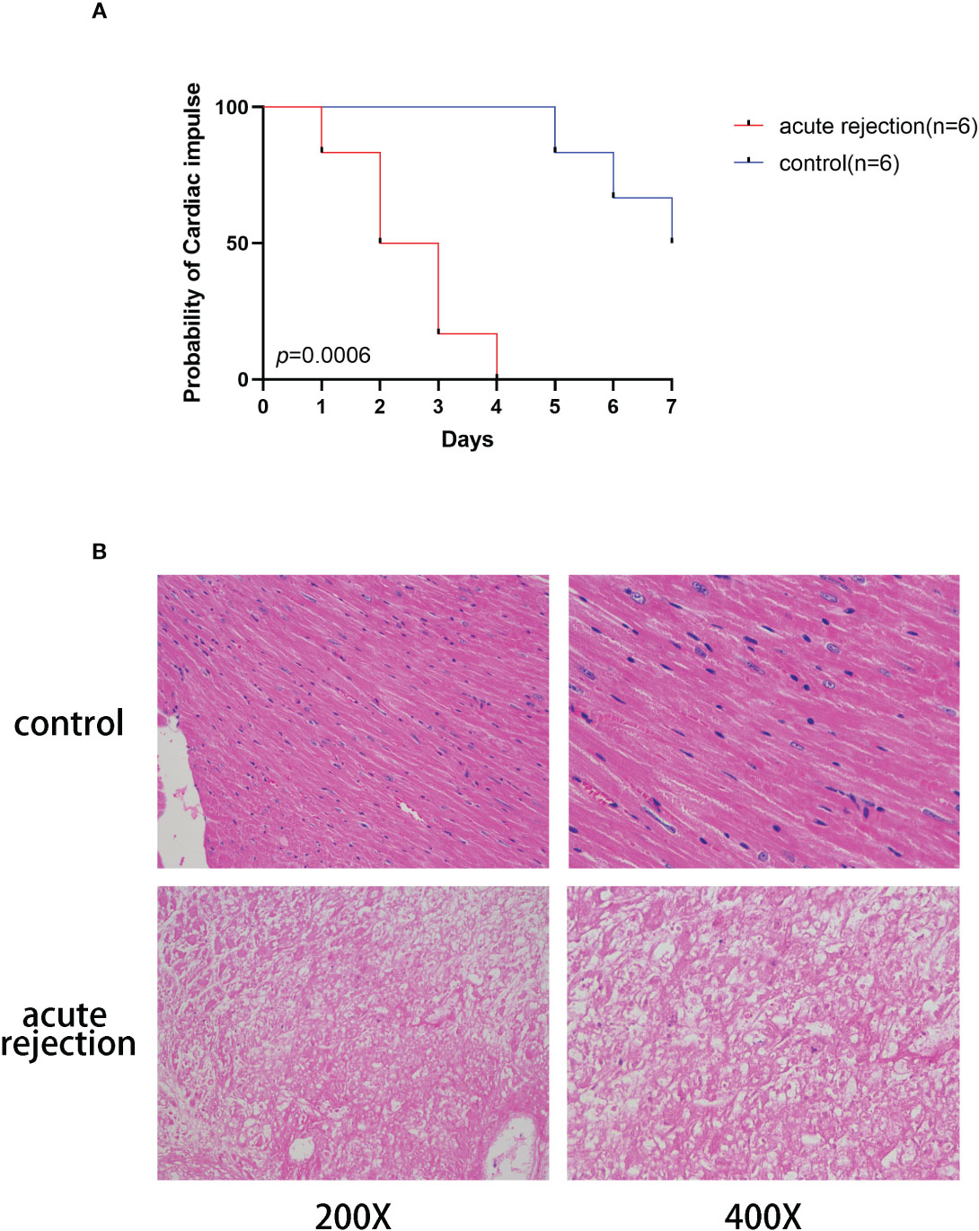 Frontiers | Novel ceRNA network construction associated with