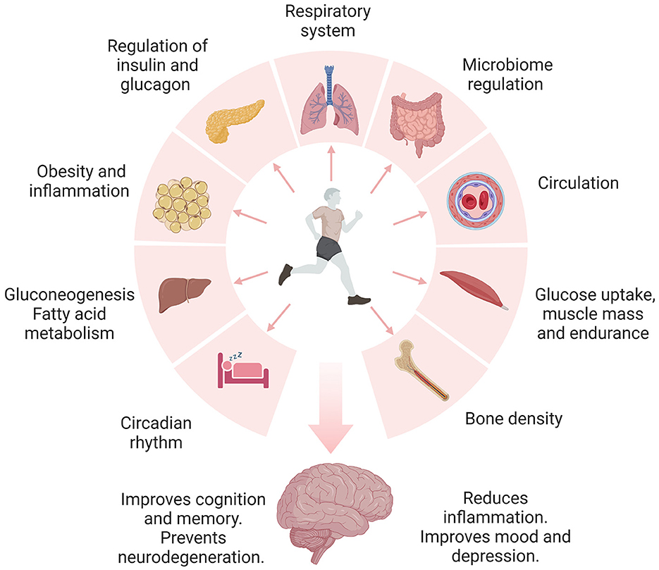 Frontiers Physical activity and lifestyle modifications in the