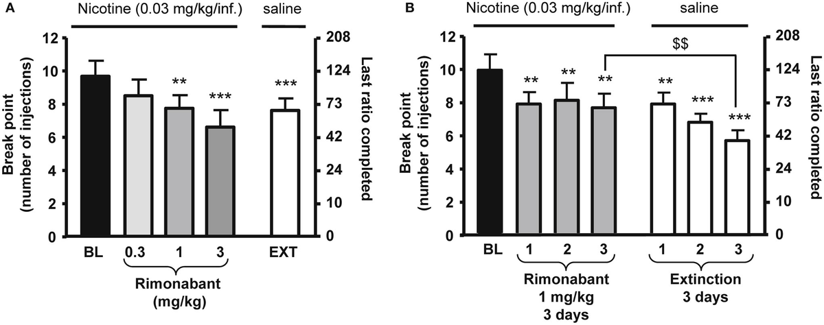 大人上品なおすすめコーデ Role | Frontiers of in System Cannabinoid Endogenous the K-POP・アジア