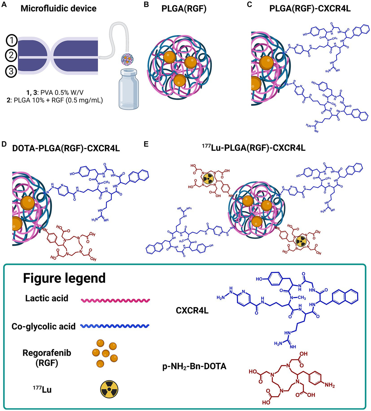 Frontiers Chemo radiotherapy with 177Lu PLGA(RGF) CXCR4L for the