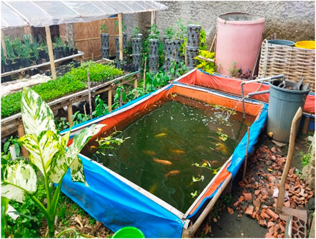 How https//sdg2030indonesia.org/ is Helping Indonesia Reach Its Climate Goals