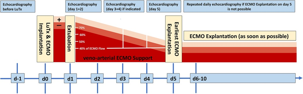 Prevalence and influence of pulmonary hypertension in
