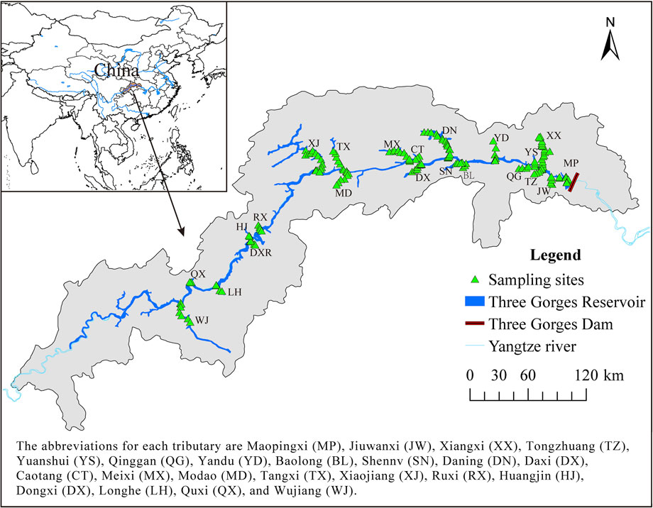 Frontiers Ecological water quality of the Three Gorges Reservoir and