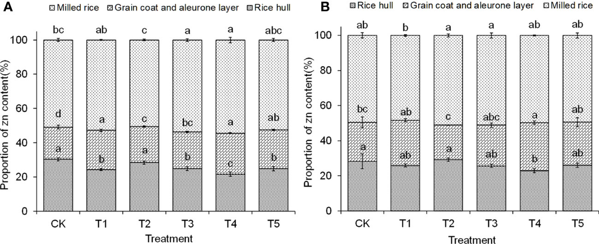 Frontiers | Zinc oxide nanoparticles enhanced rice yield
