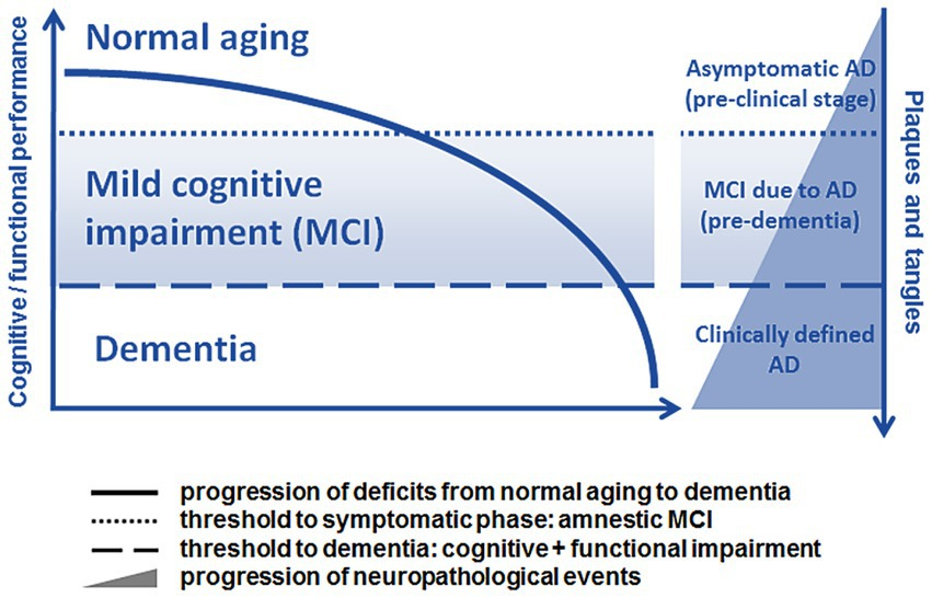 Frontiers | Eye-tracking paradigms for the assessment of mild 