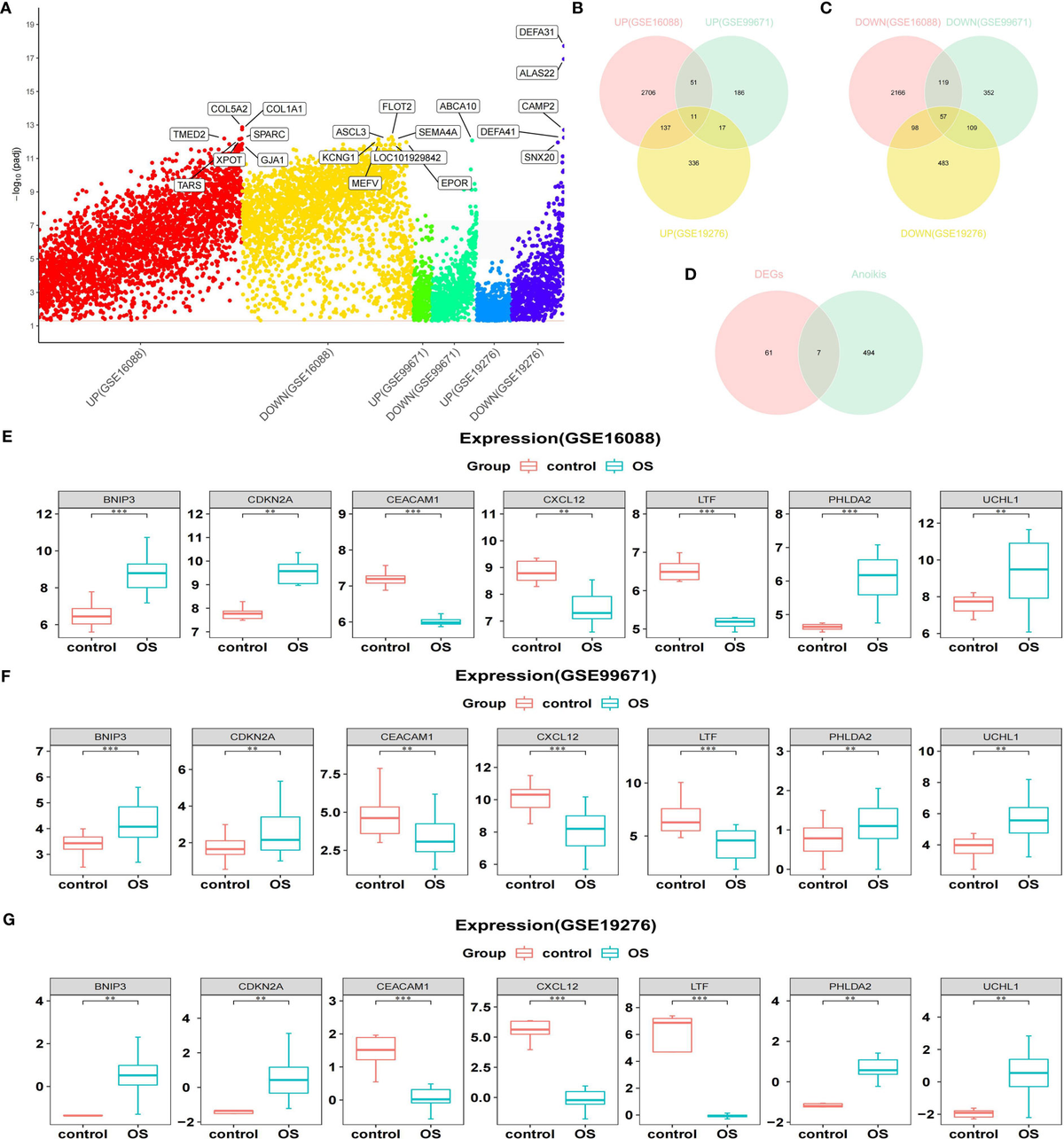 Frontiers | A novel stratification framework based on