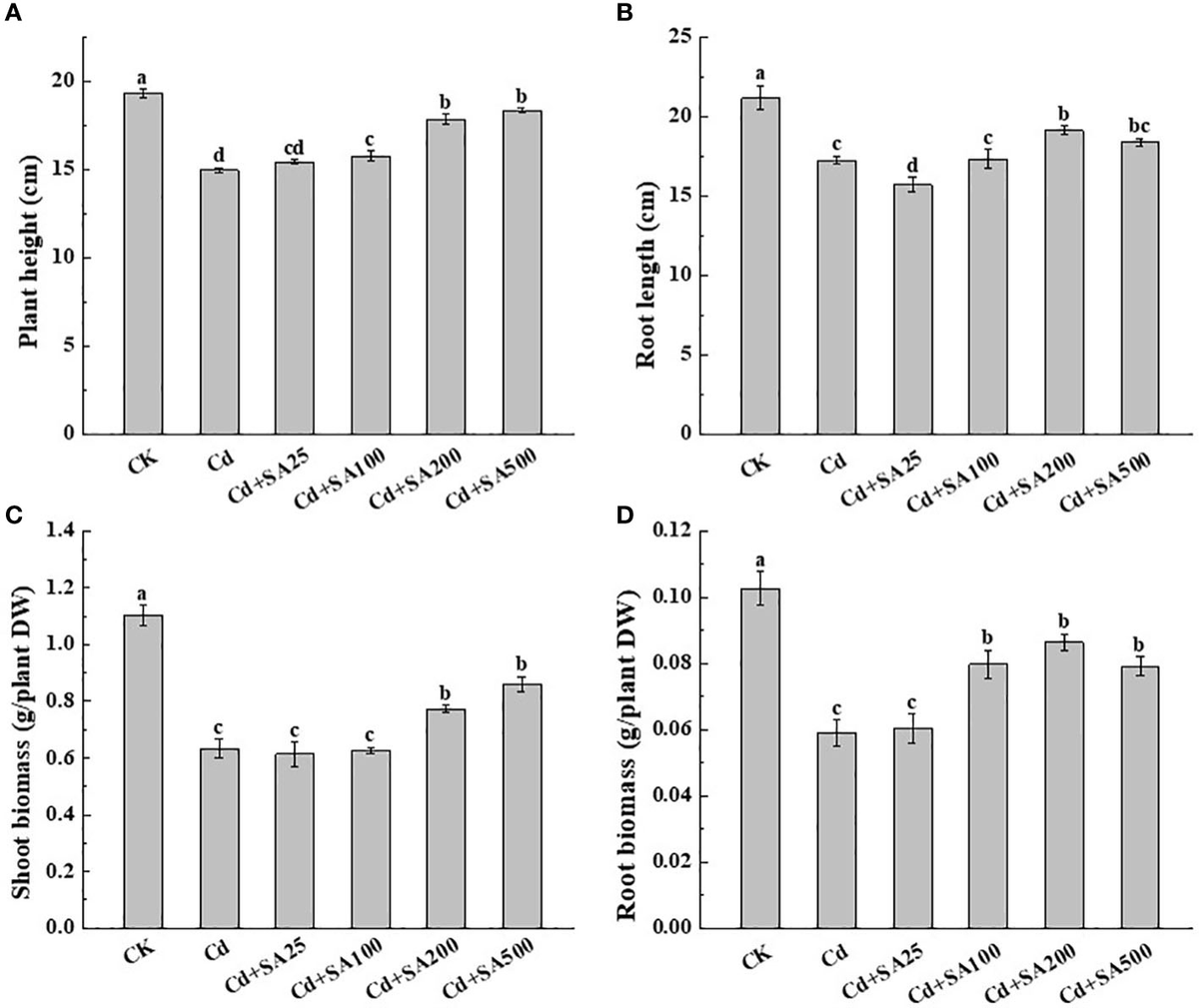 Frontiers | Foliar application of salicylic acid inhibits