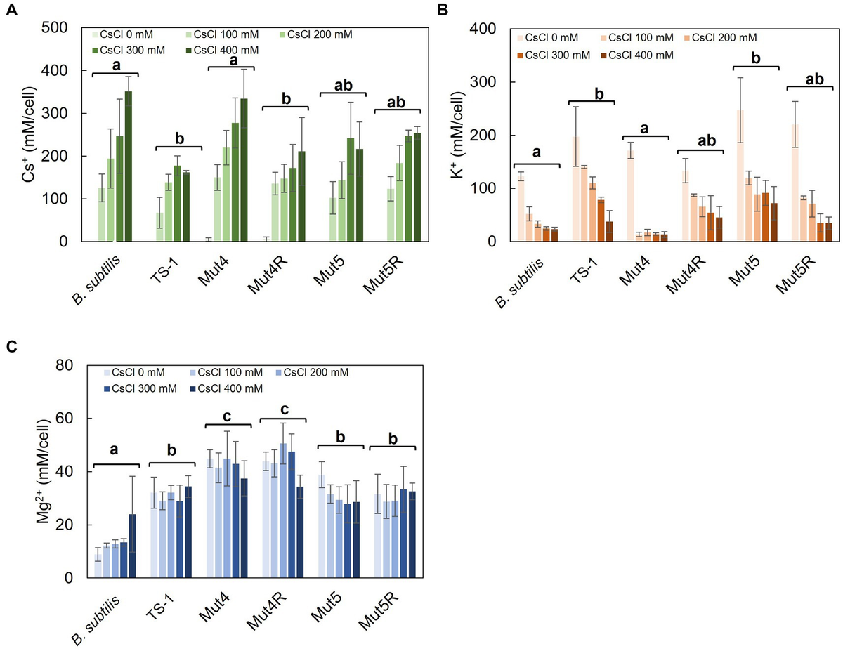 Frontiers | Physiological importance and role of Mg2+ in